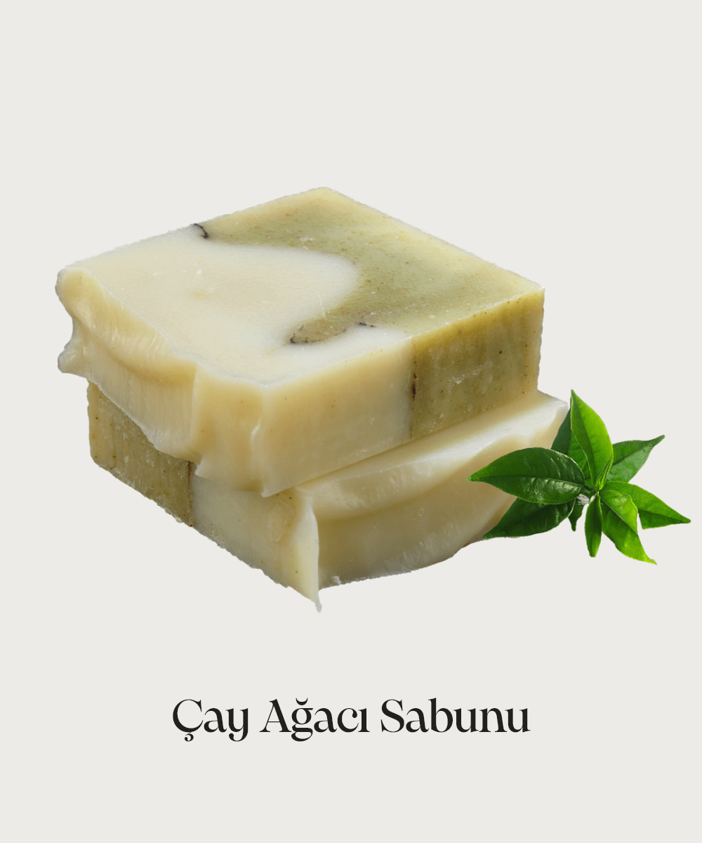 Doğal Çay Ağacı Sabunu 2li