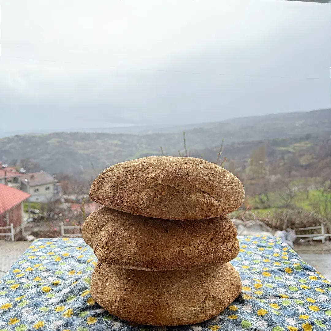 EKŞİ MAYA ÇAVDAR EKMEĞİ