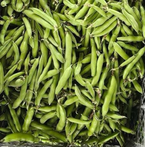 YERLİ BAKLA(500 gr)