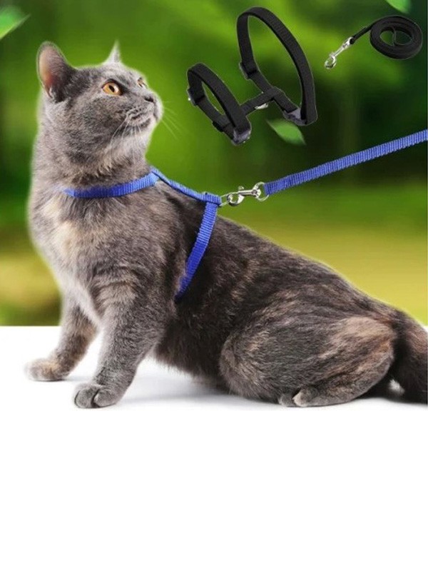 KEDİ GEZDİRME GÖĞÜS TASMASI