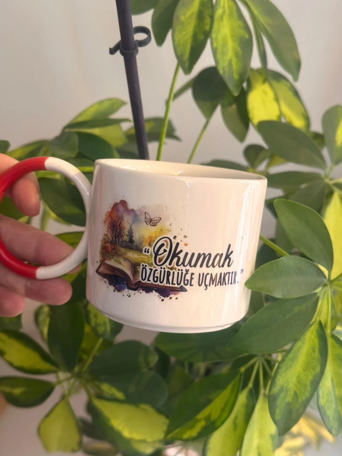 Okumak Özgürlük Kupa