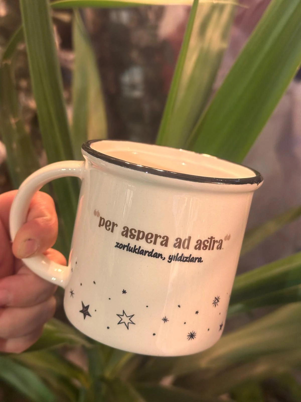 Zorluklardan Yıldızlara Kupa