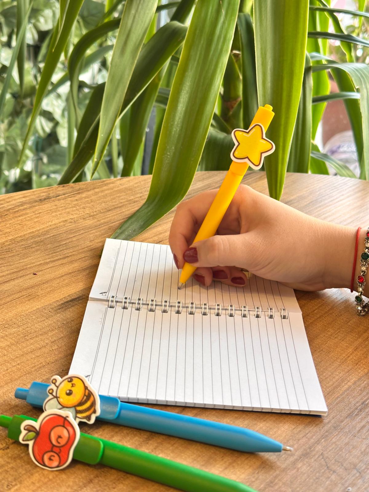 Yıldız Figürlü Kalem