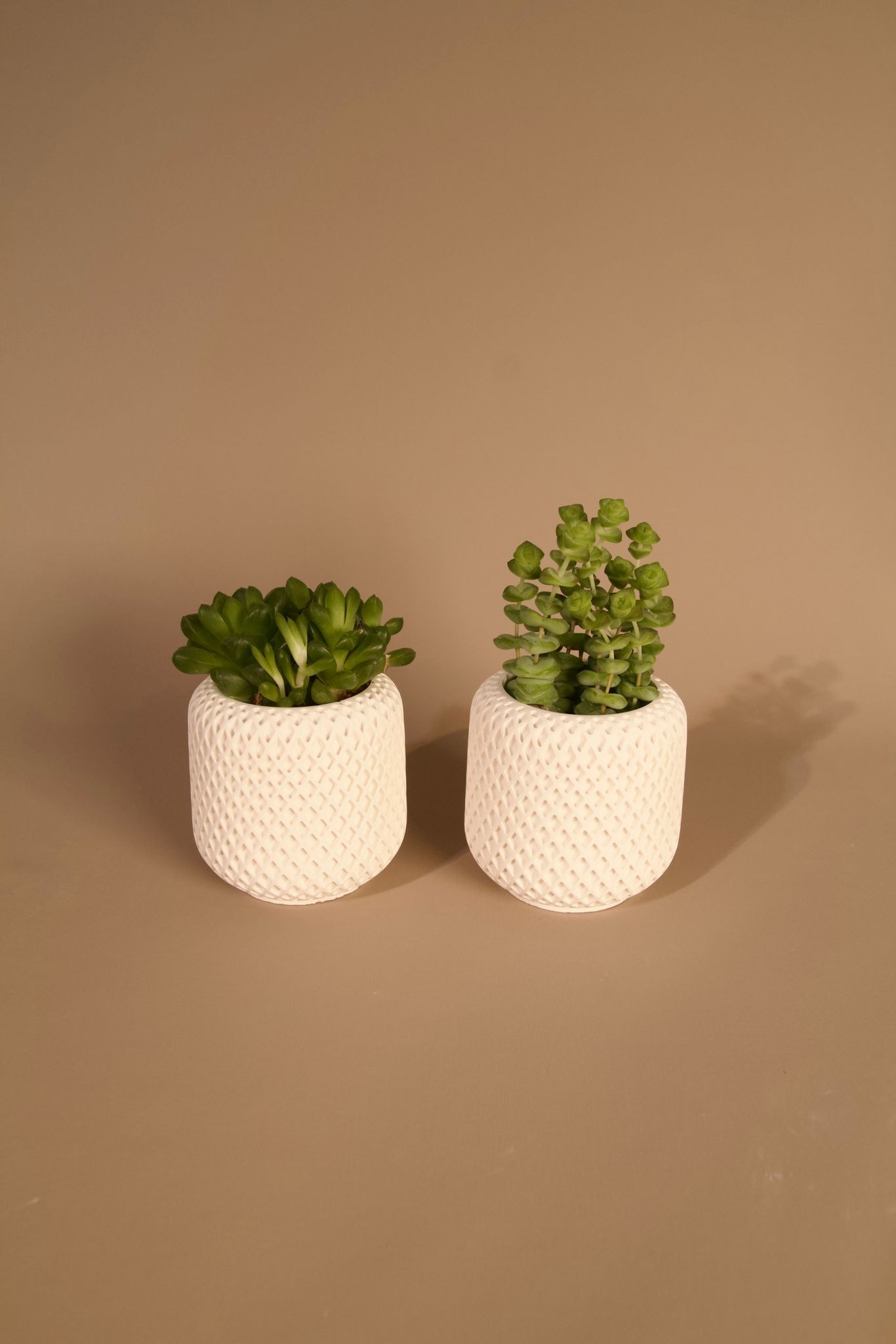 Mini Dörtlü Sukulent Saksı - El Yapımı Beton - Beyaz - Minimal Dekoratif