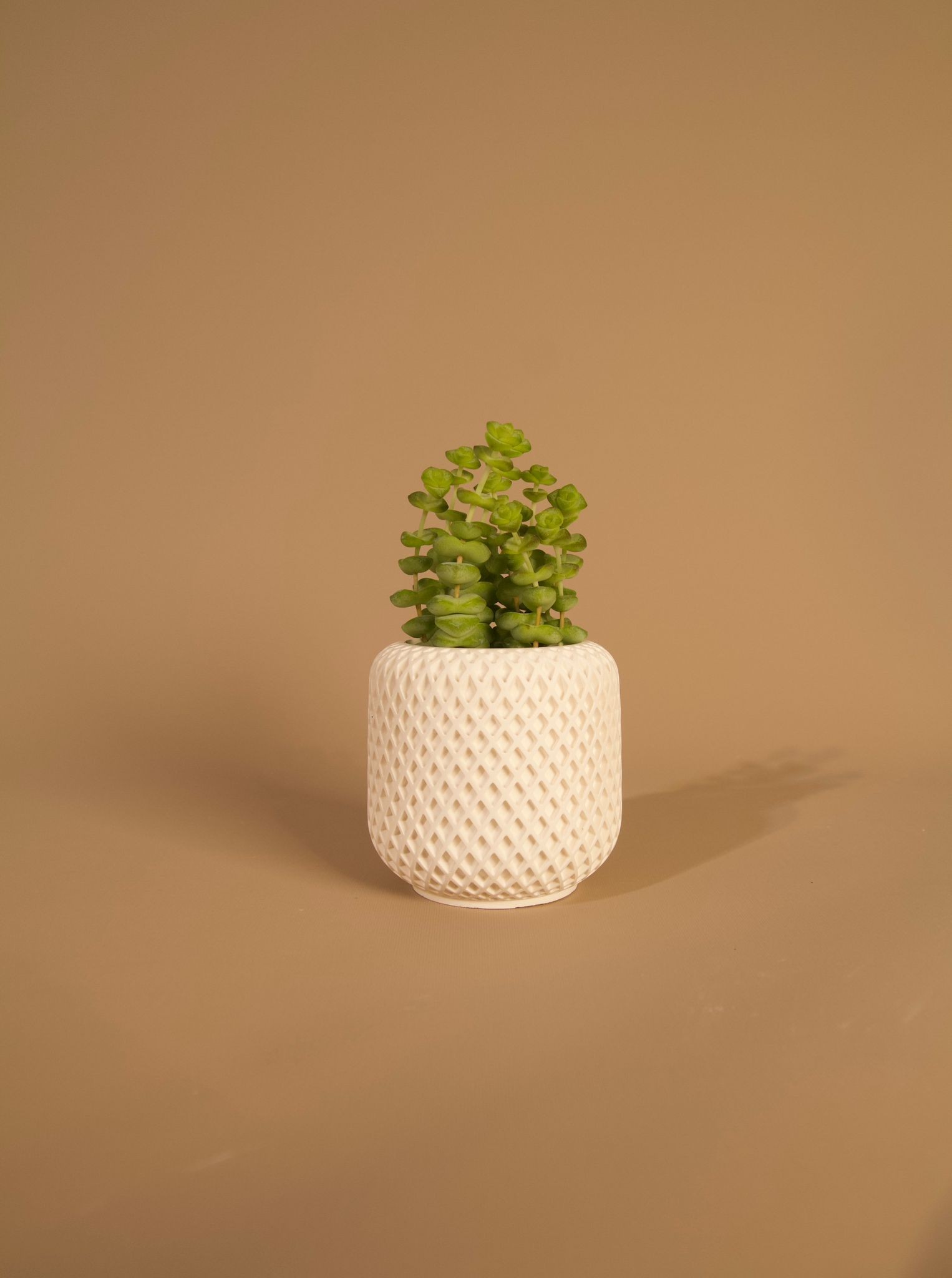 Mini Dörtlü Sukulent Saksı - El Yapımı Beton - Beyaz - Minimal Dekoratif
