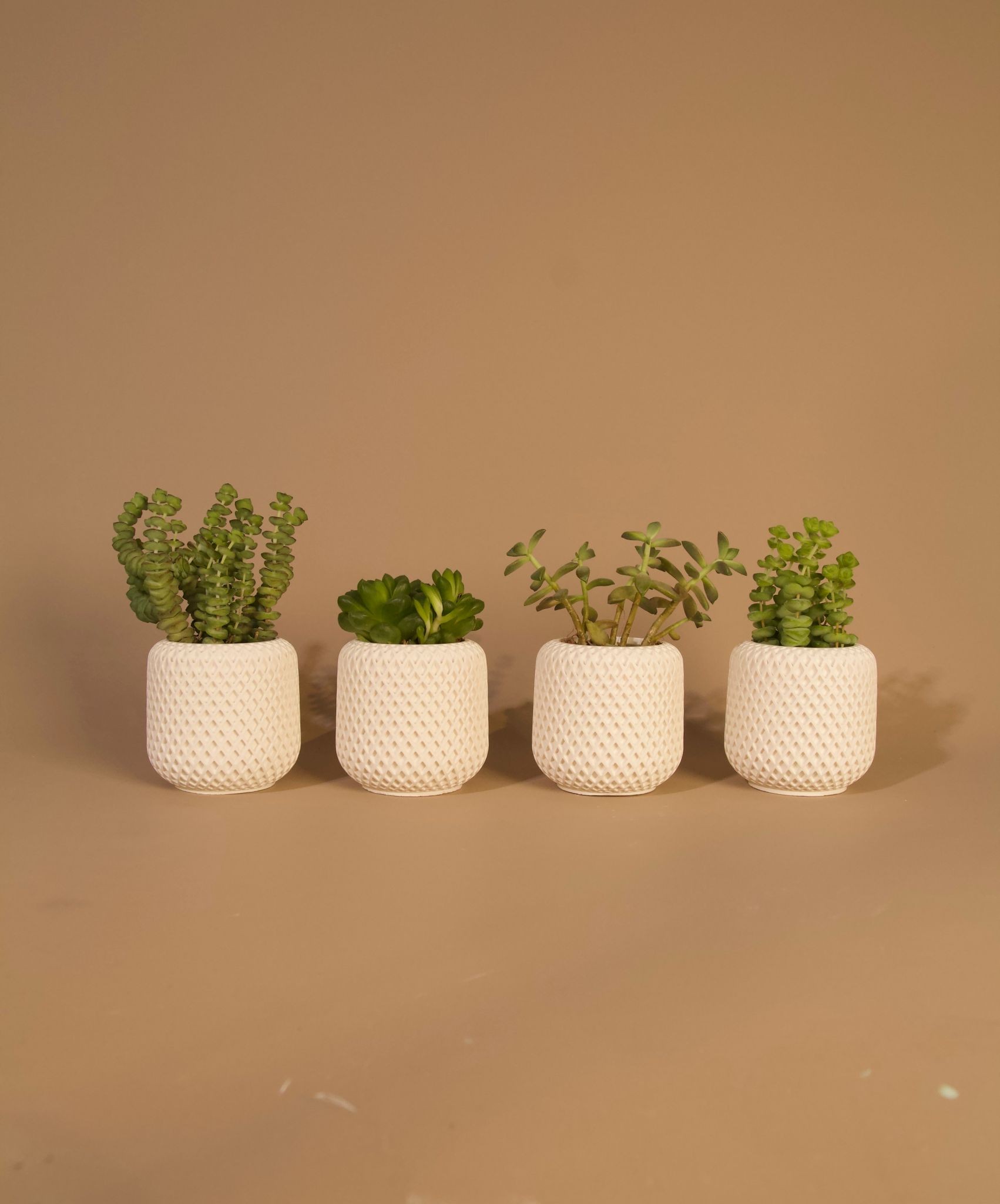 Mini Dörtlü Sukulent Saksı - El Yapımı Beton - Beyaz - Minimal Dekoratif