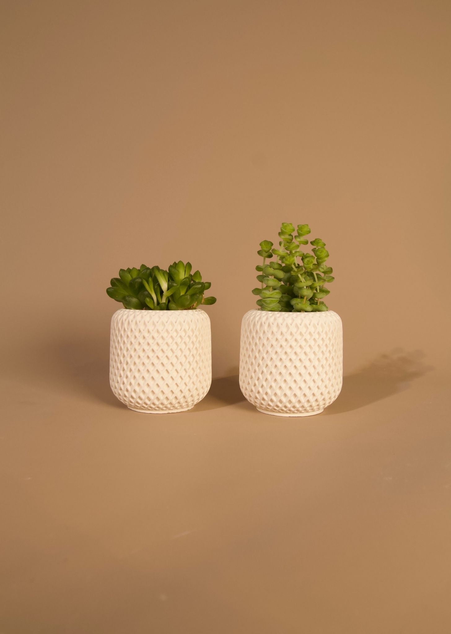 İkili Mini Beton Saksı