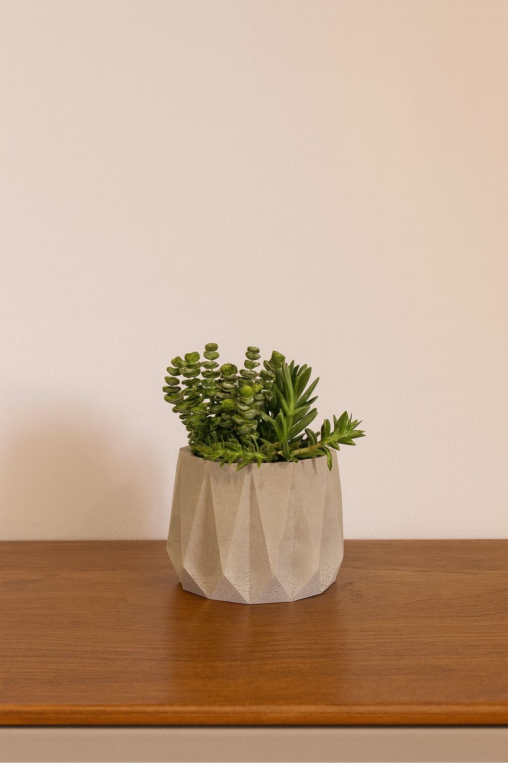 Edge Beton Saksı Gri