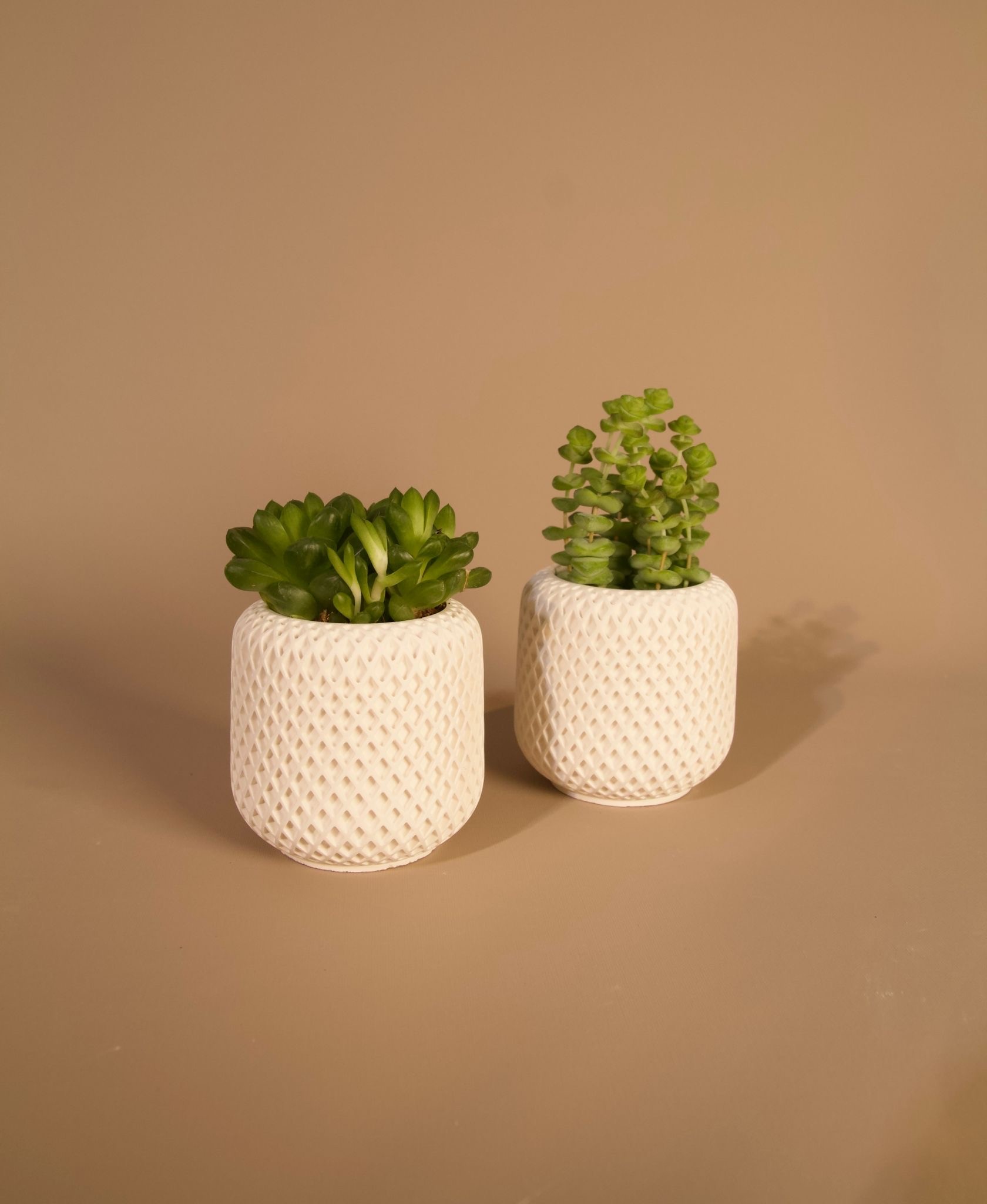 İkili Mini Beton Saksı