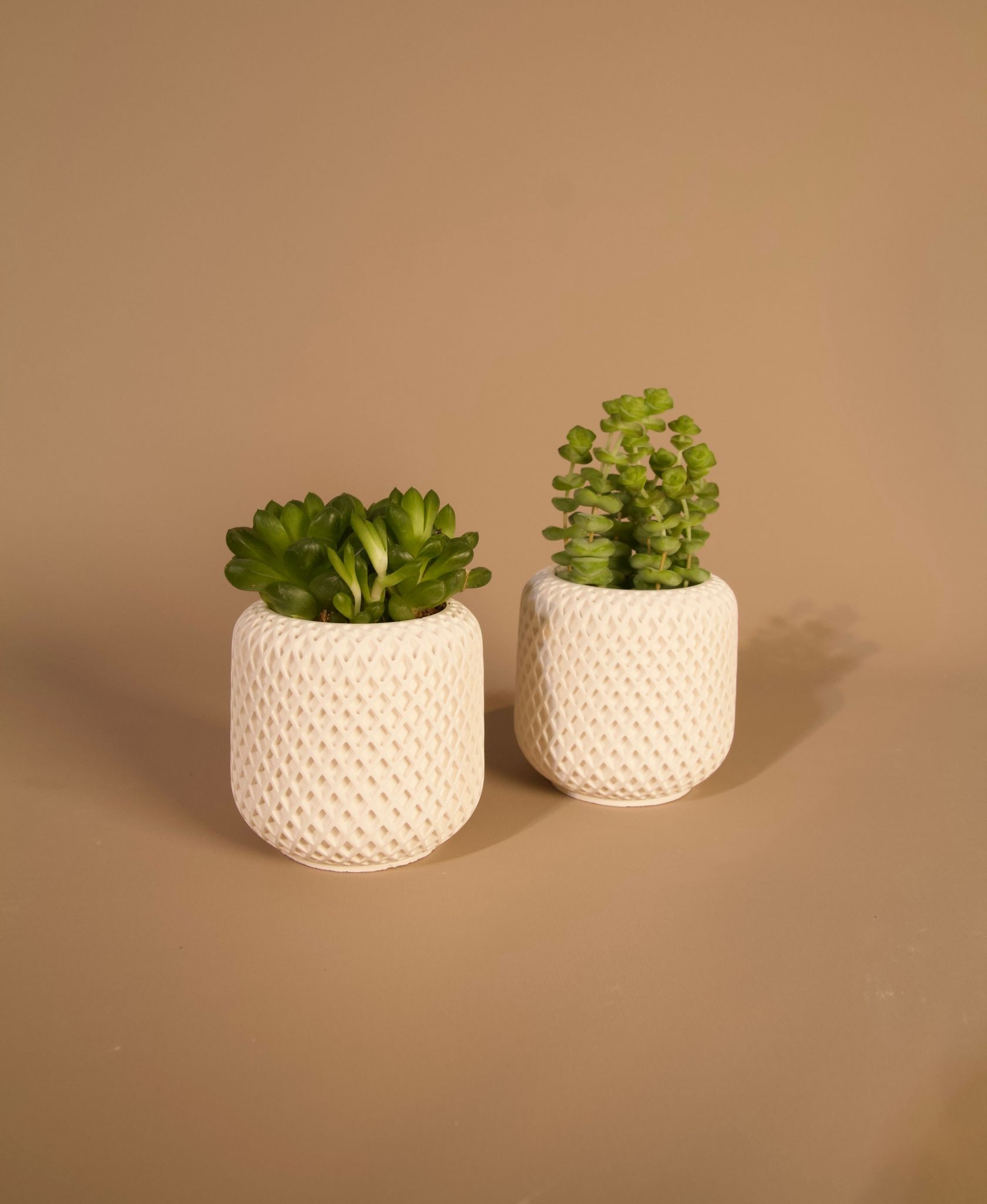 Mini Dörtlü Sukulent Saksı - El Yapımı Beton - Beyaz - Minimal Dekoratif