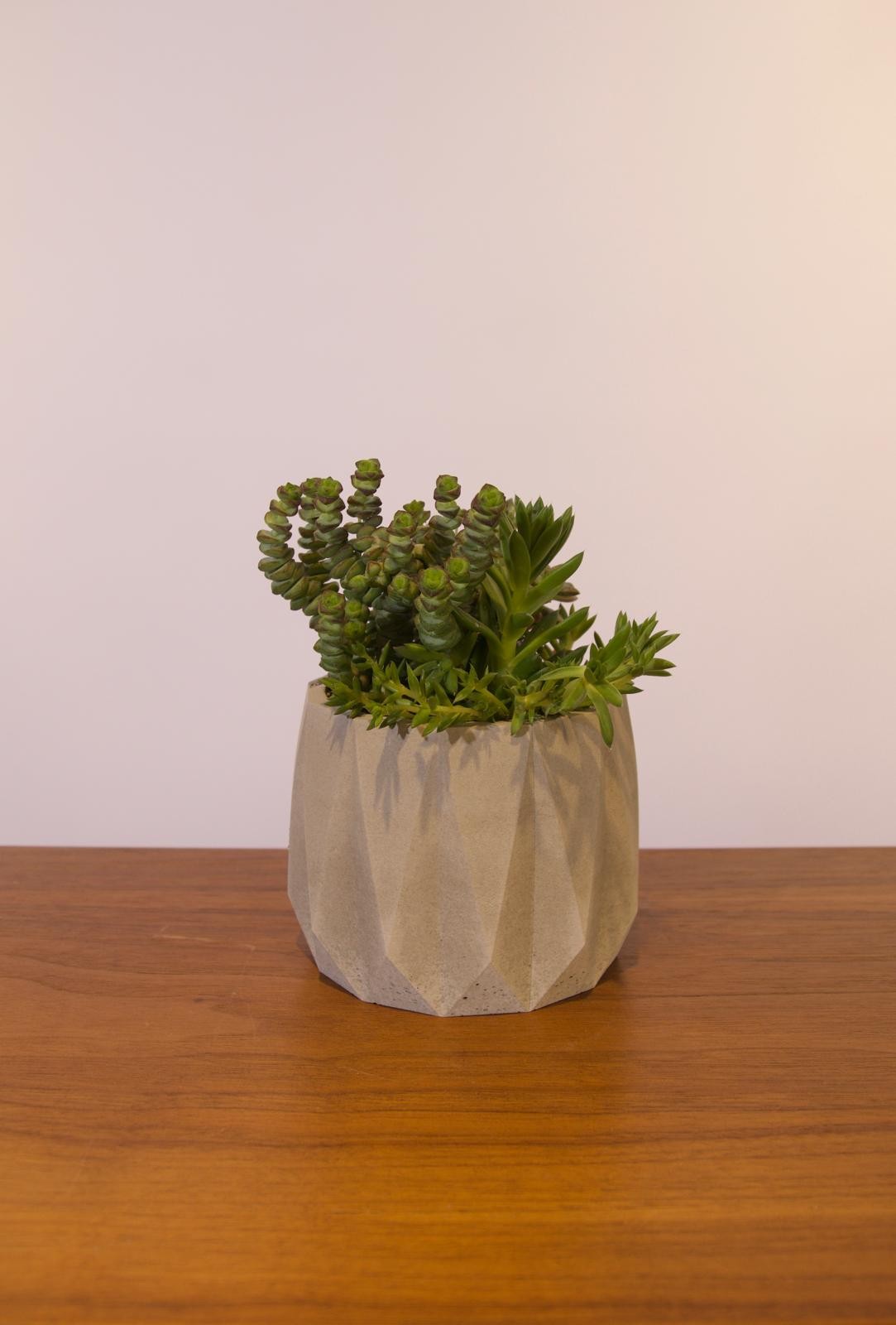 Edge Beton Saksı Gri