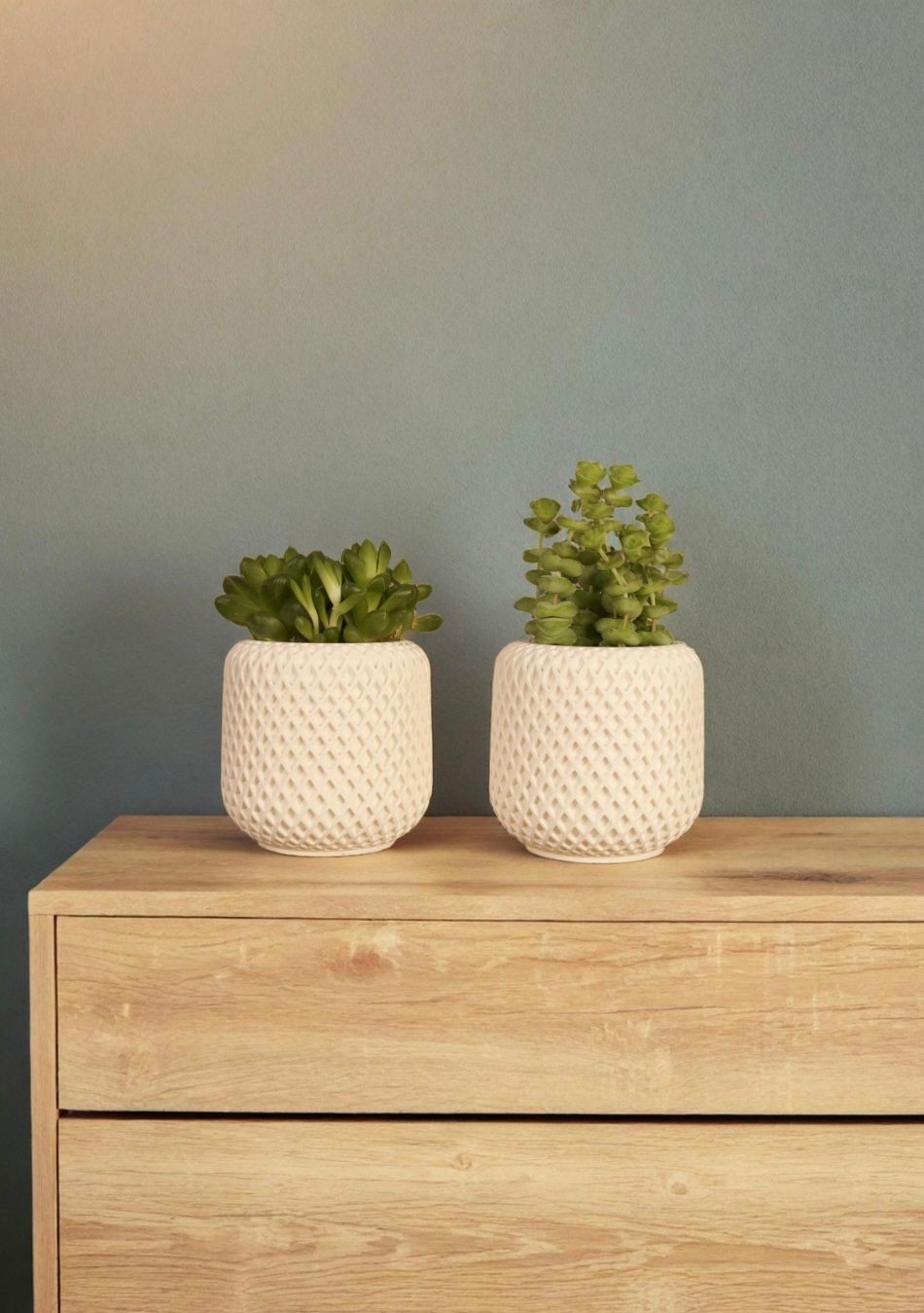 İkili Mini Beton Saksı