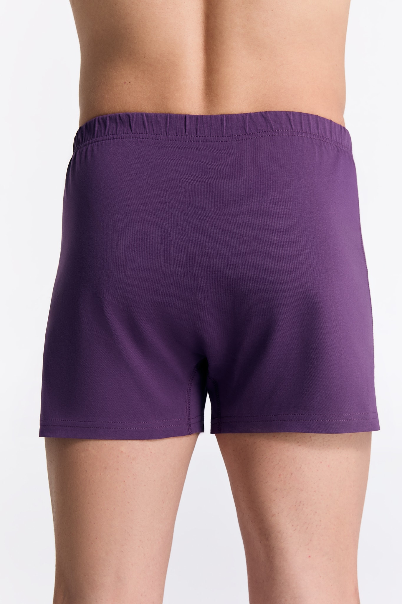 GOTS Sertifikalı Organik Pamuk Erkek Boxer Şort İç Çamaşırı 3'lü Paket