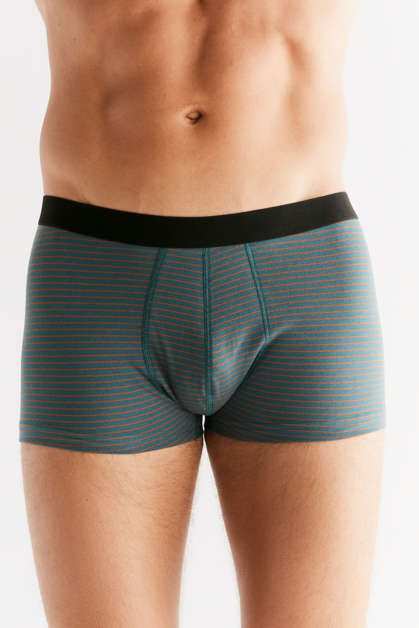 GOTS Sertifikalı Organik Pamuk Erkek Trunk Boxer İç Çamaşırı 3'lü Paket - Köknar Tabasko