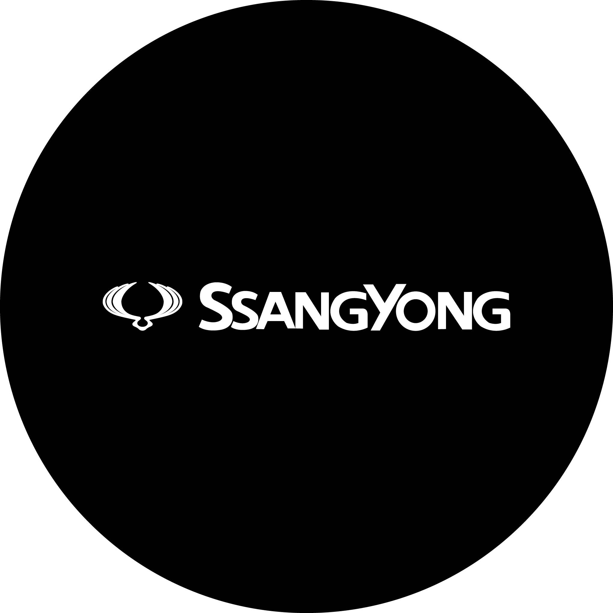 Чехол на запасное колесо с логотипом SsangYong