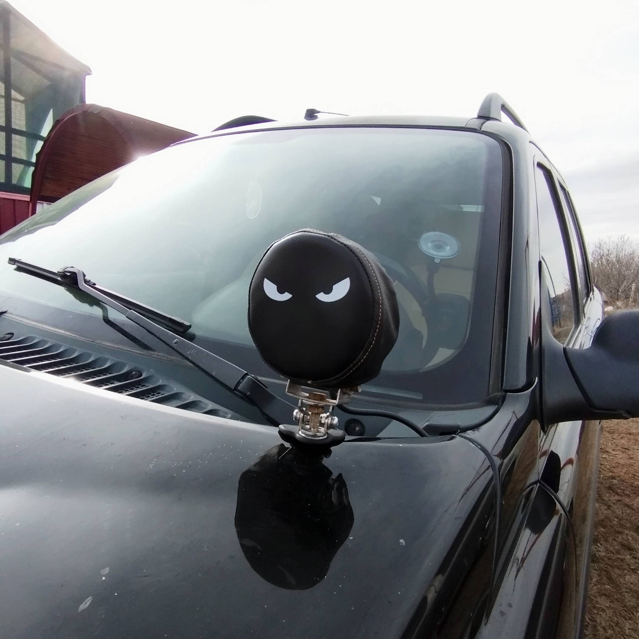 Off Road Lighting Cover - Eyes Designed