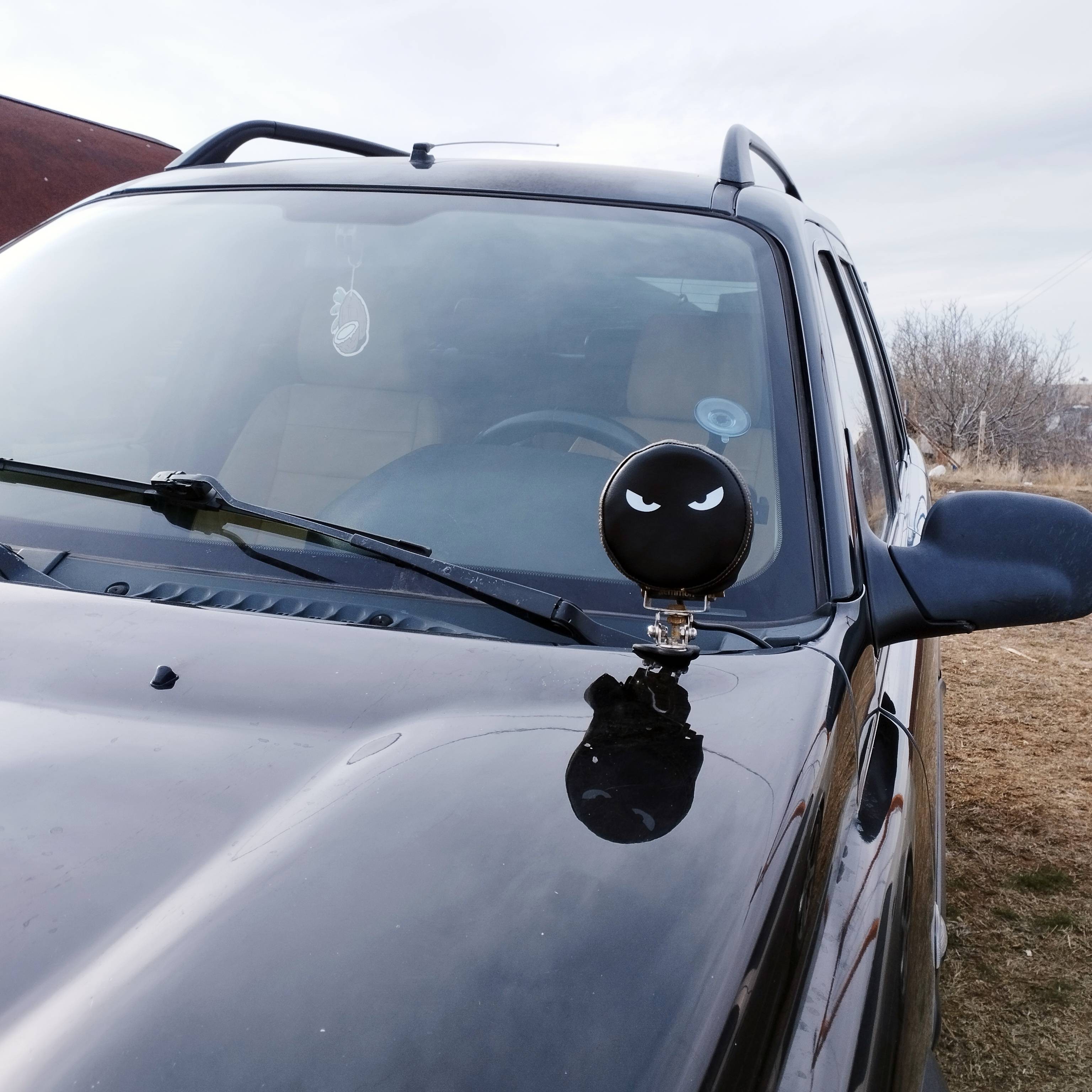 Off Road Lighting Cover - Eyes Designed