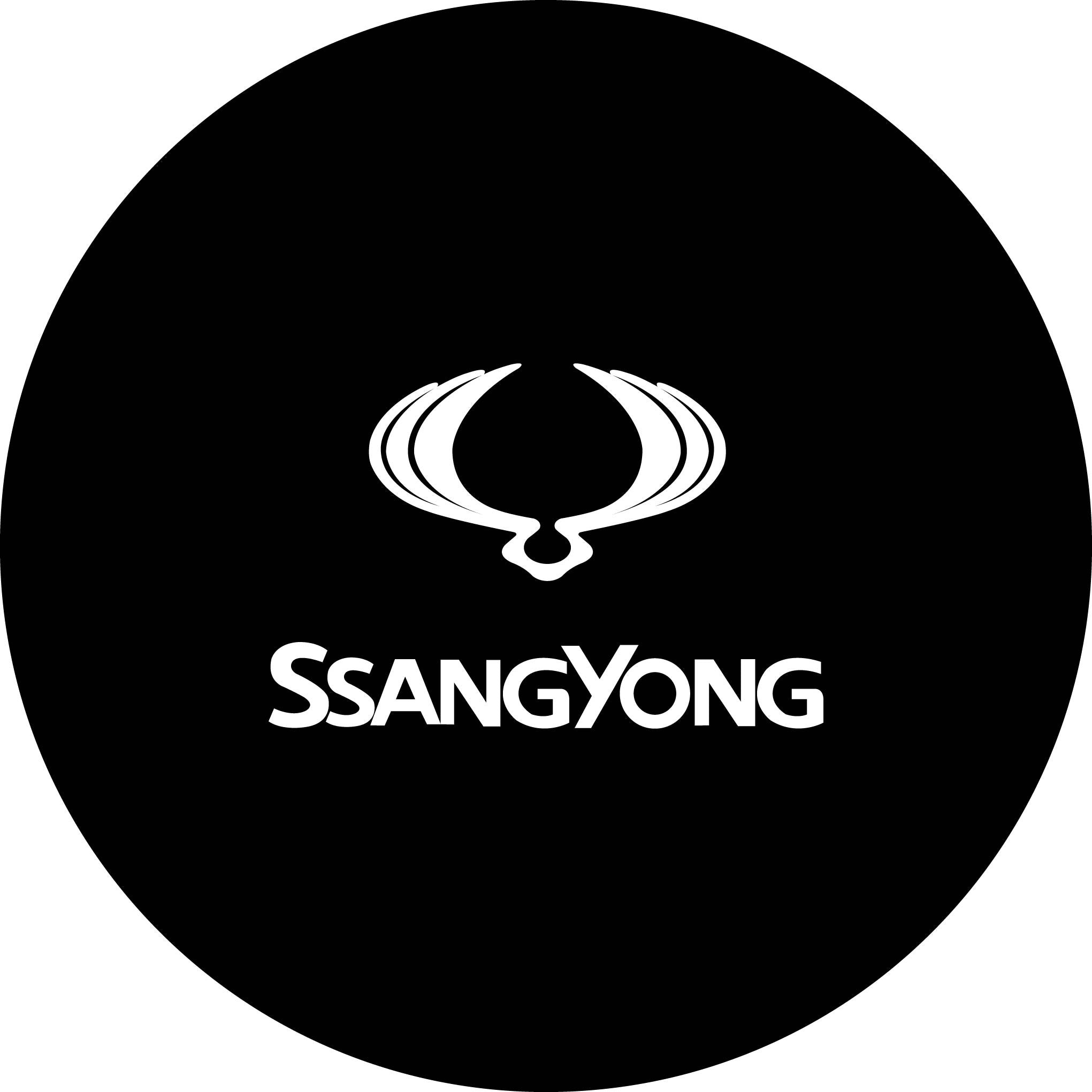 Чехол на запасное колесо с логотипом SsangYong