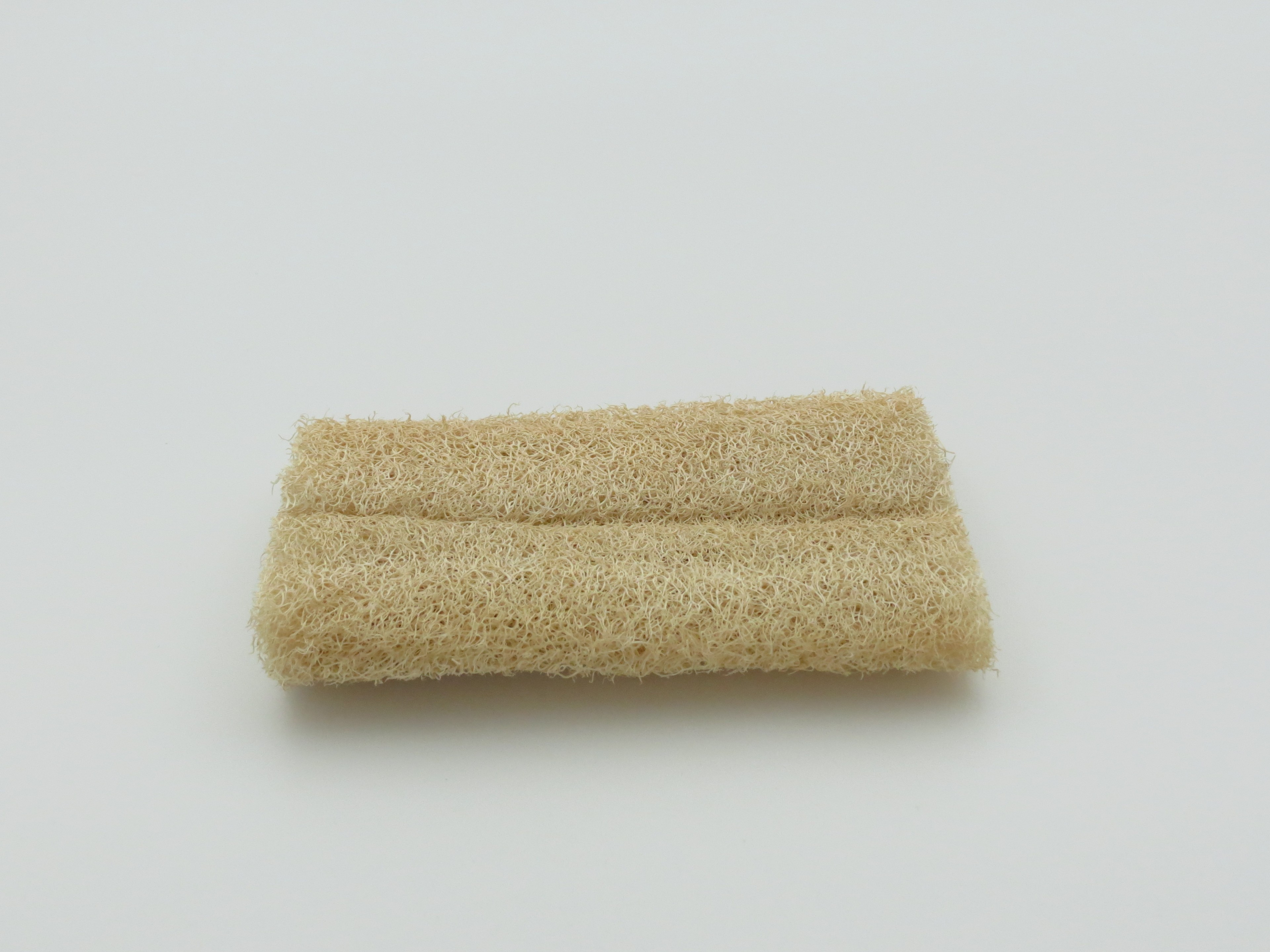 Ham Kabak 15cm - Doğal Kabak Lifi - Selülit, Batık, Peeling - Yüz Vücut Bulaşık Temizlik - Banyo Lifi - Organik
