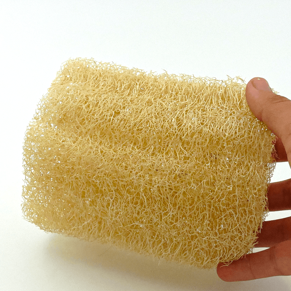 Ham Kabak 10cm - Doğal Kabak Lifi - Selülit, Batık, Peeling - Yüz Vücut Bulaşık Temizlik - Banyo Lifi - Organik