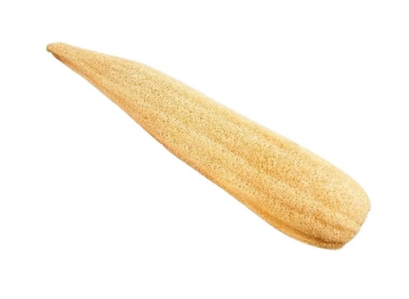 Ham Kabak 40cm - Doğal Kabak Lifi - Selülit, Batık, Peeling - Yüz Vücut Bulaşık Temizlik - Banyo Lifi - Organik