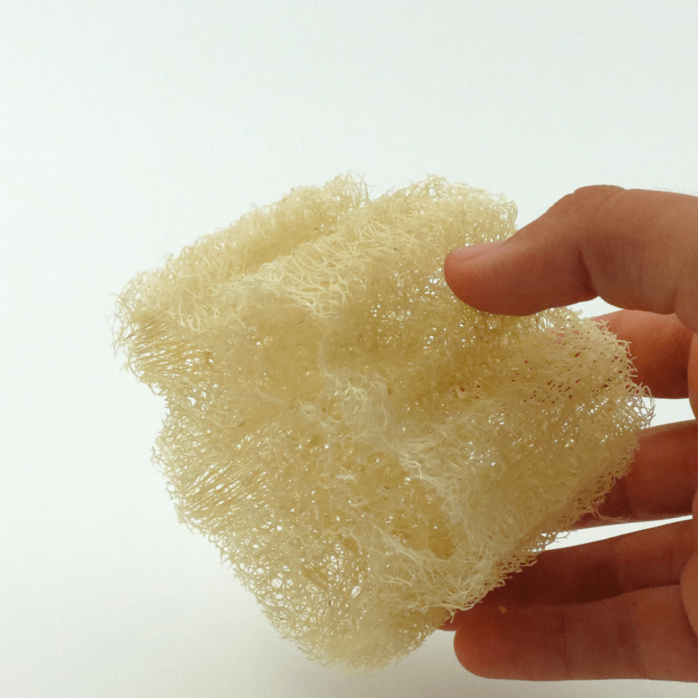 Ham Kabak 5cm - Doğal Kabak Lifi - Selülit, Batık, Peeling - Yüz Vücut Bulaşık Temizlik - Banyo Lifi - Organik