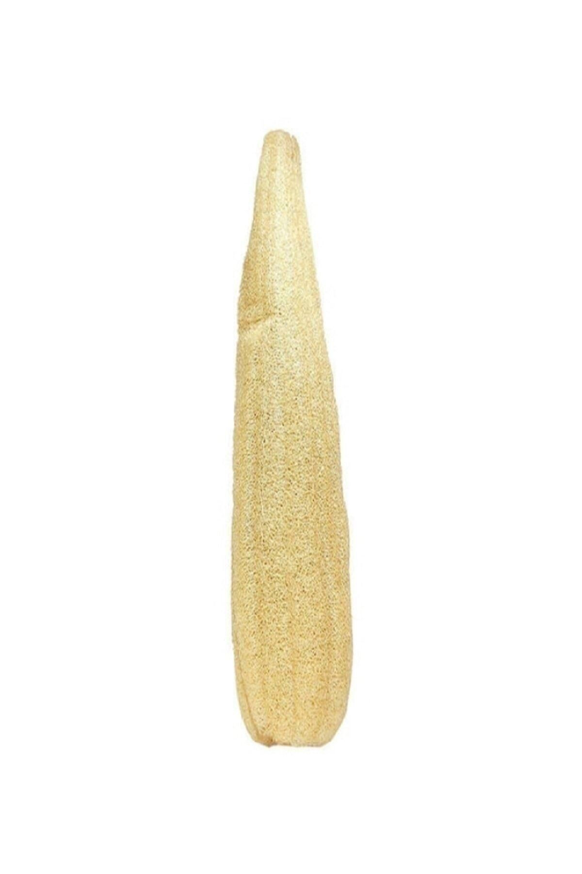 Kese Hamam Kesesi Kabak Lifi 60 - 70 Cm Ham Kabak Lifi Işlenmemiş Lif Kabak