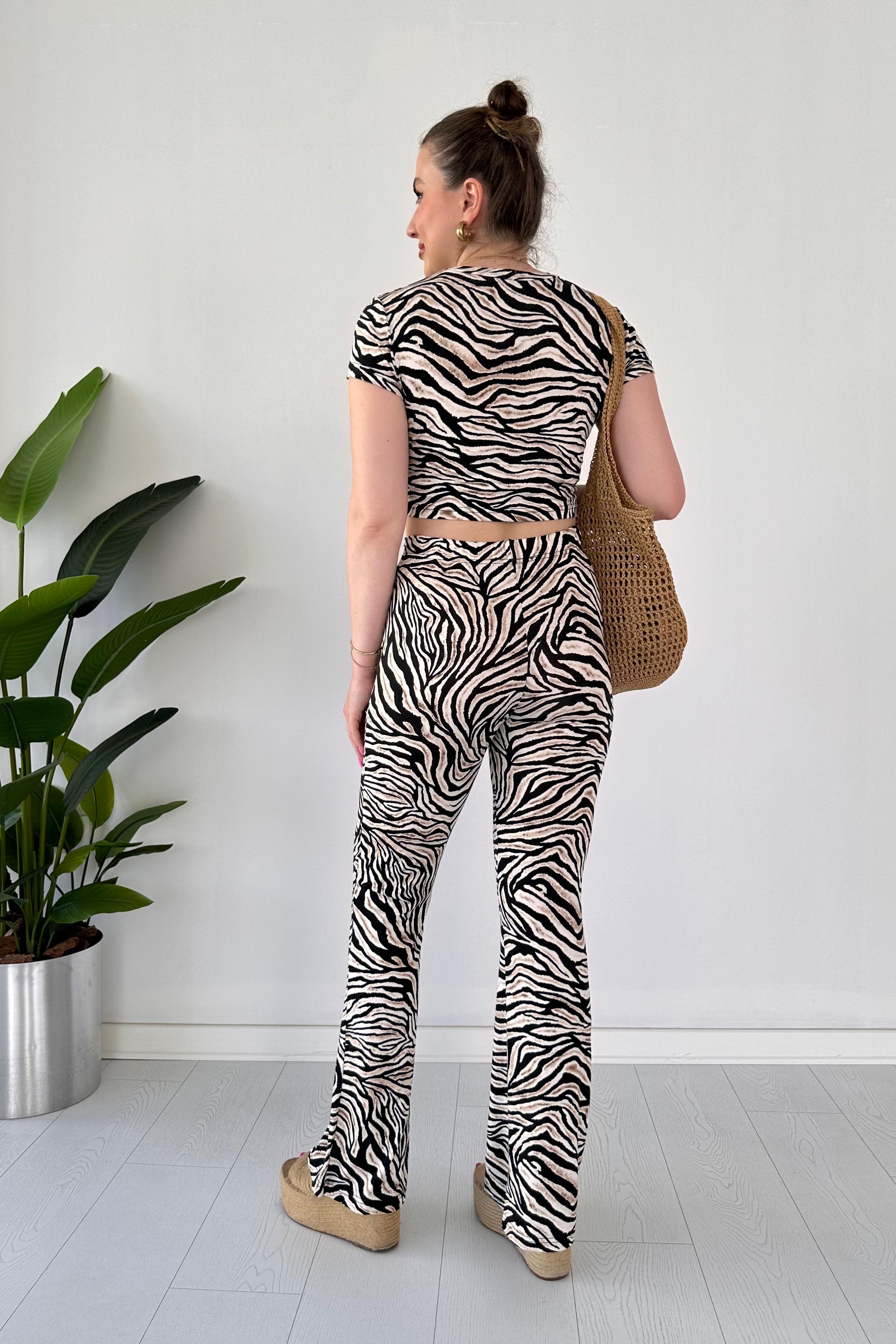 Flare Zebra Takım