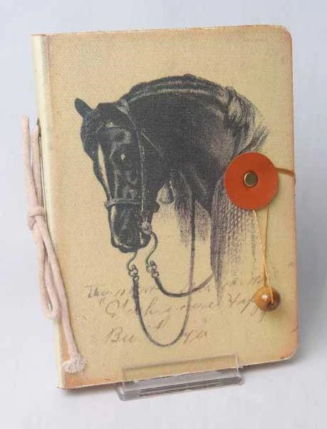 Kakosan And0244 Antik Defter No:244