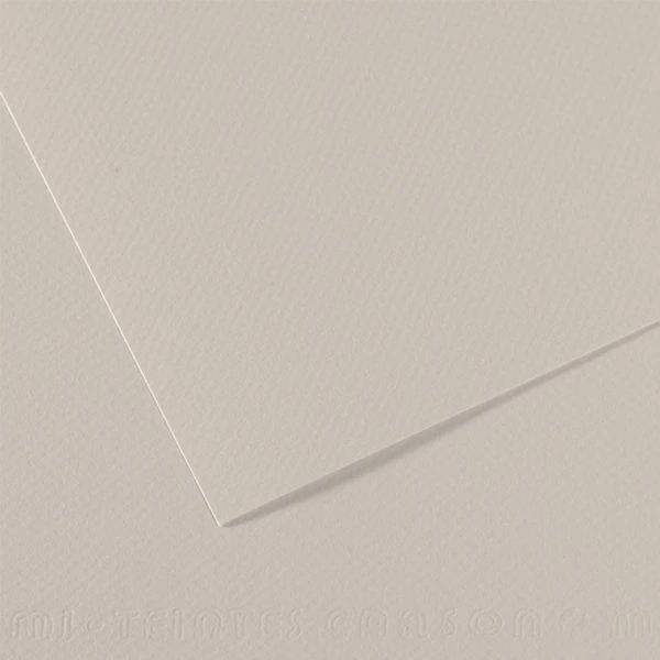 Canson 200321354 Sh Canmt 50*65 160Gr Grey 354