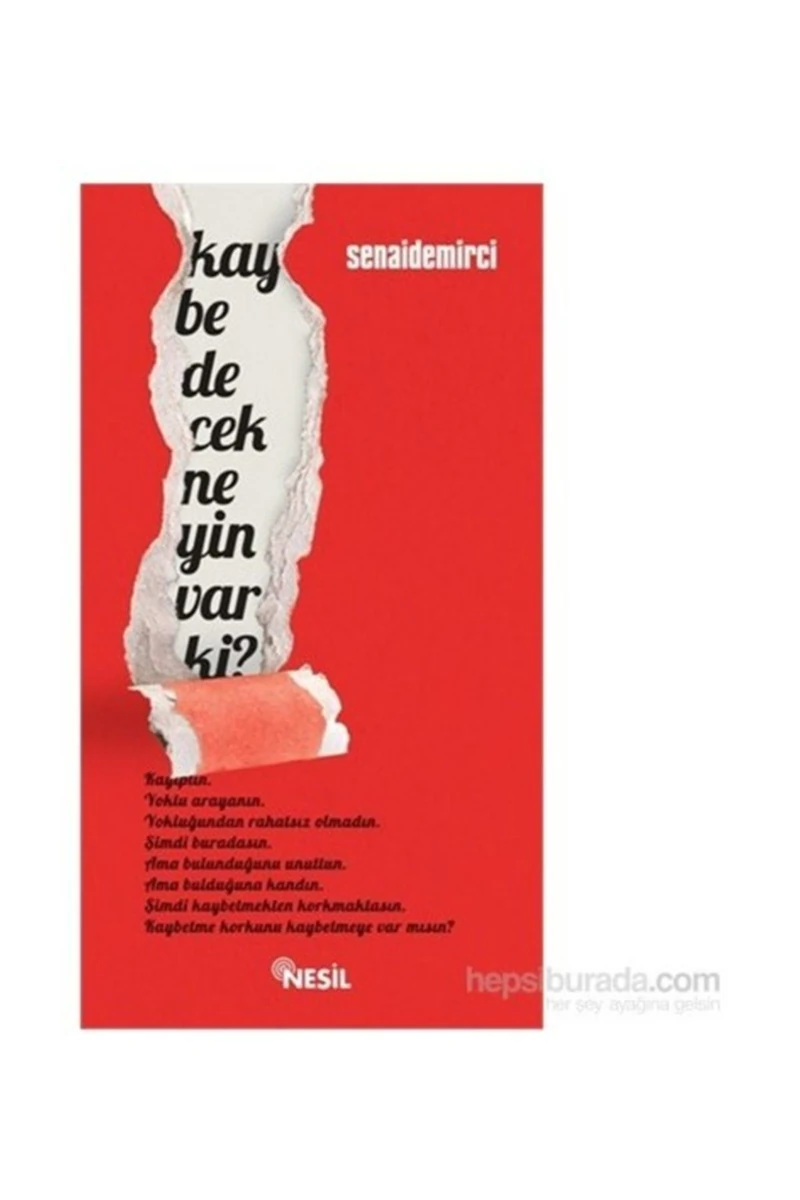 Kaybedecek Neyin Var Ki?-Senai Demirci