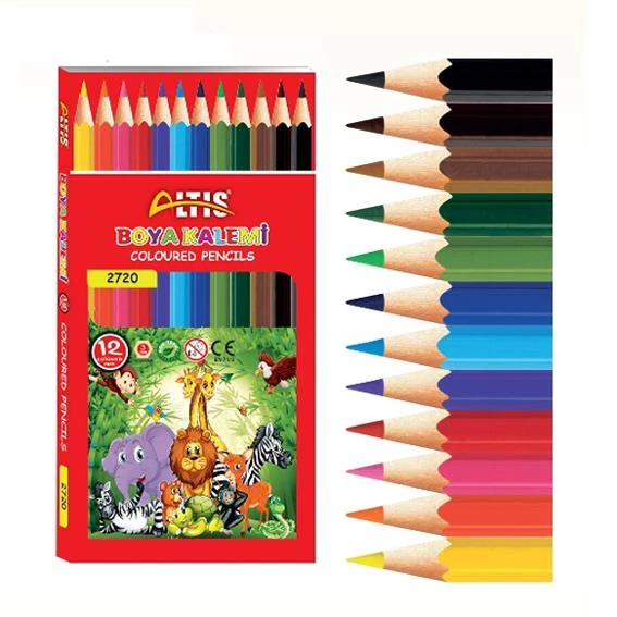 ALTIS KURU BOYA 12 LI UZUN