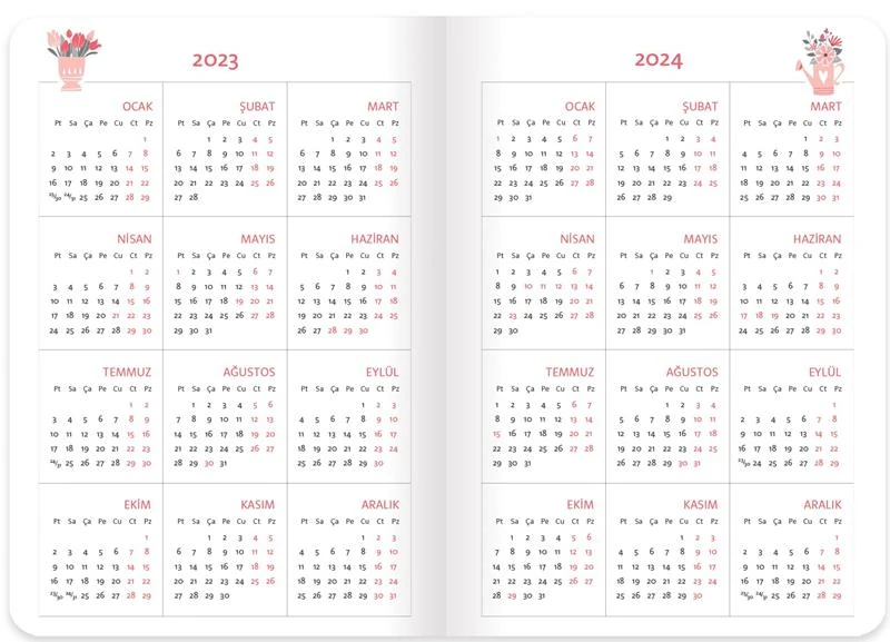 Keskin 830253-99 17*24 Ciltli Akademik Ajanda - Rengarenk