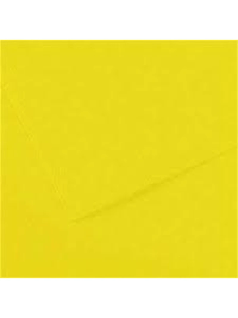Alex Schoeller 50x70 Cm 160 Gr Fon Kartonu Sarı 1253