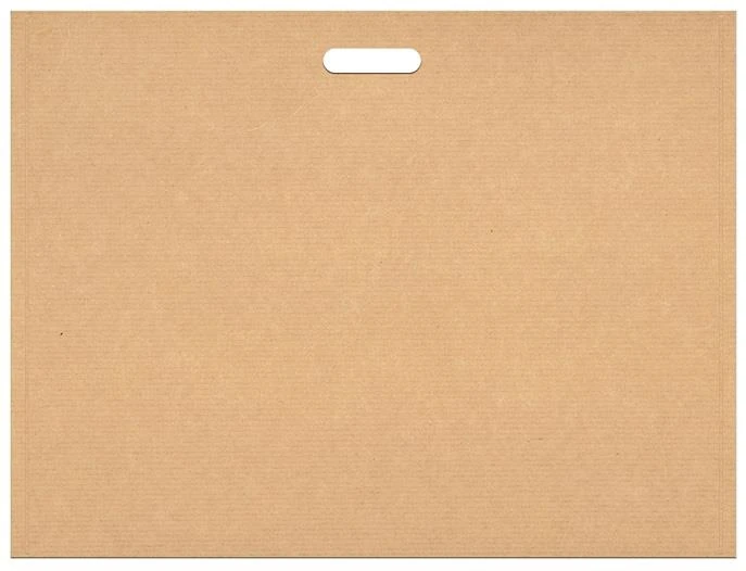 Keskin 120791-99 40*55 Kraft Proje Çantası