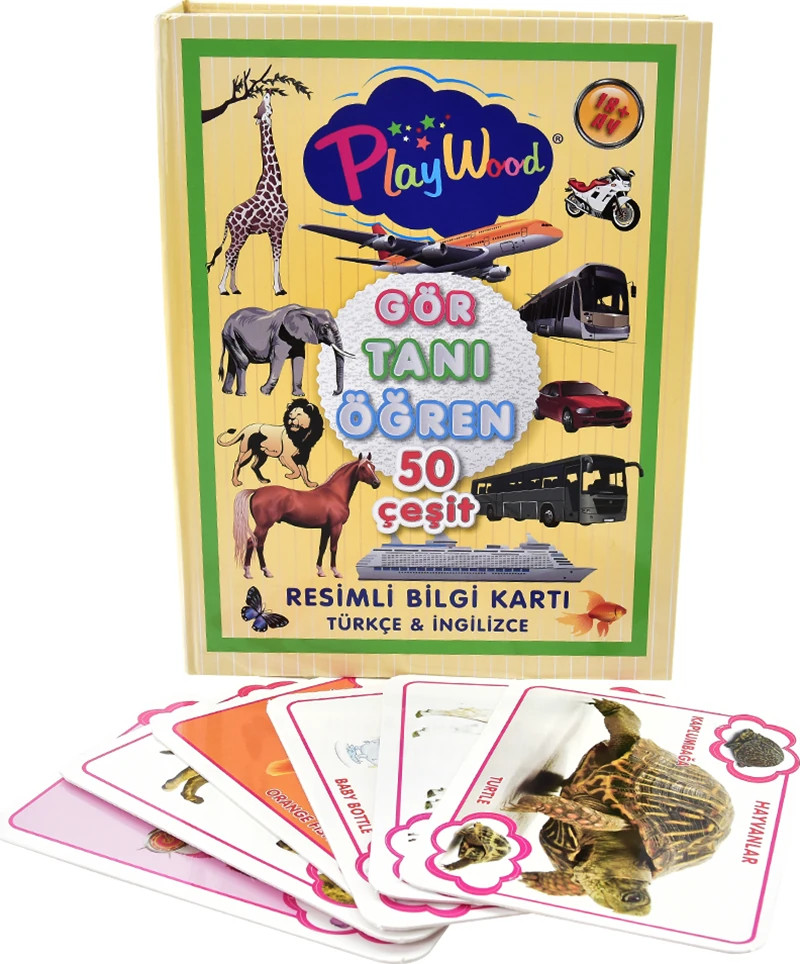 Onyıl Ony-024 Eğitici Resimli Bilgi Kartı Gör-Tanı