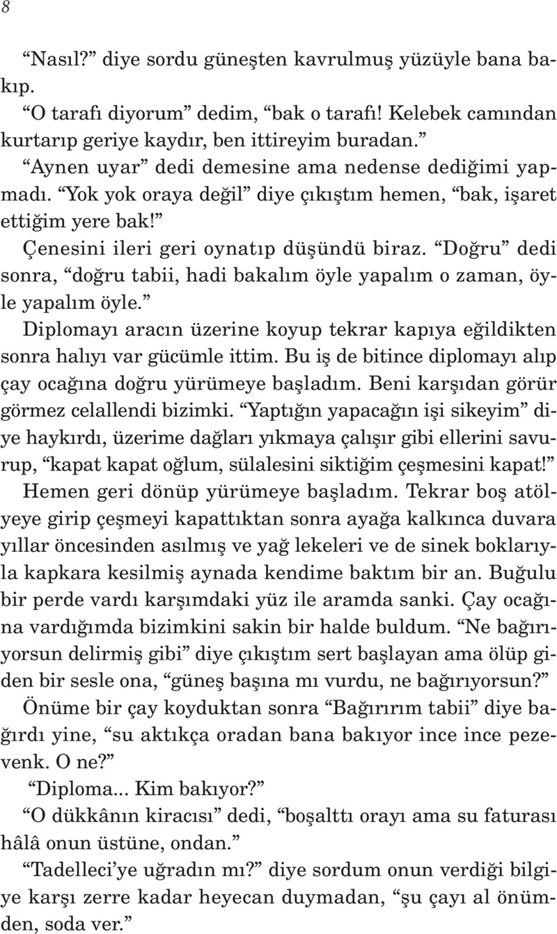 Bir Taşra Köpeği - Akın Aksu