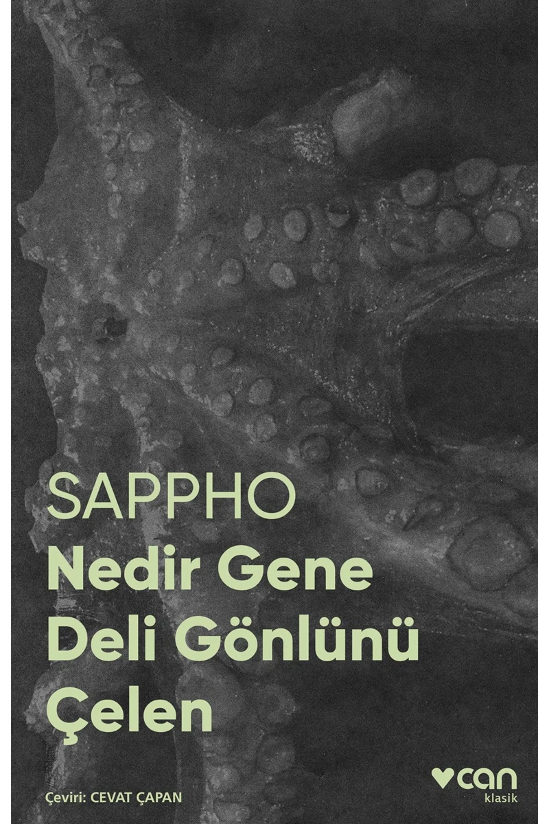 Nedir Gene Deli Gönlünü Çelen - Sappho