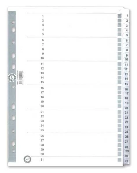 Serve Separatör 1-31 Rakam Sv-5327