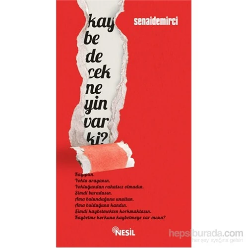 Kaybedecek Neyin Var Ki?-Senai Demirci