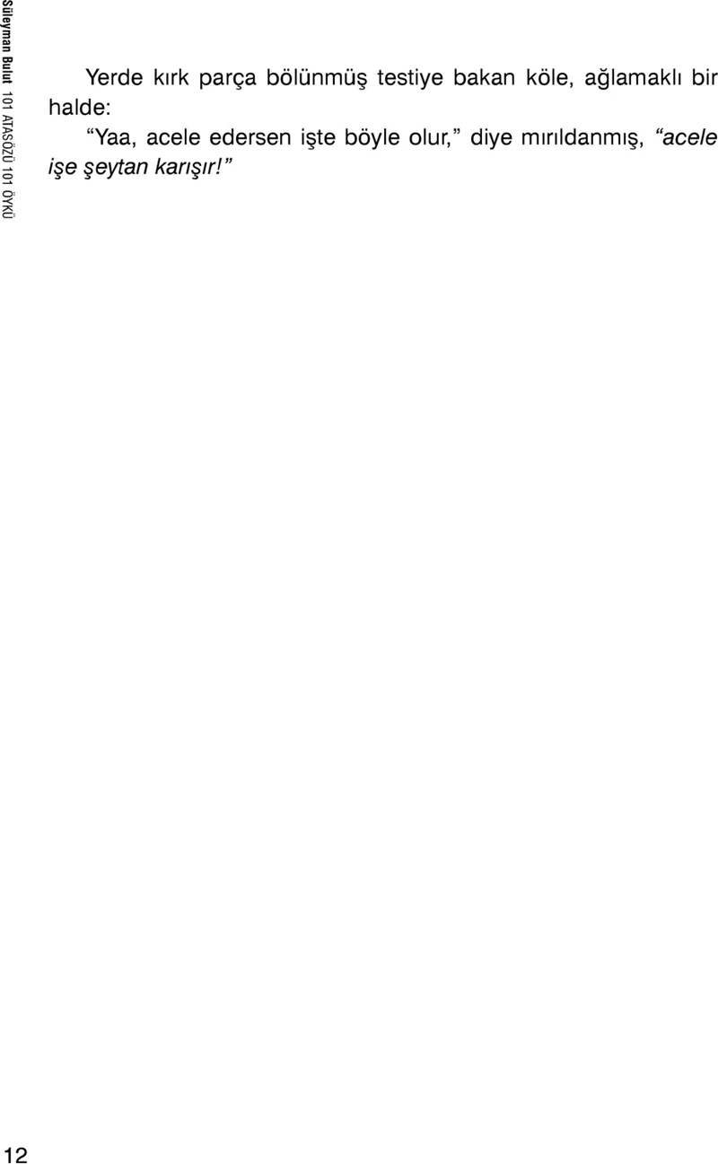 101 Atasözü: 101 Öykü