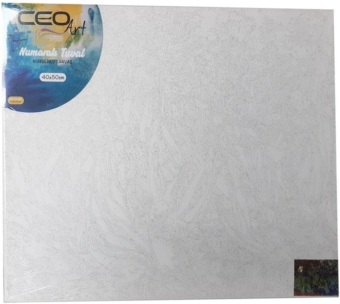 Ceo Art Tuval 40X50 Numaralı Gökyüzü Tn0003