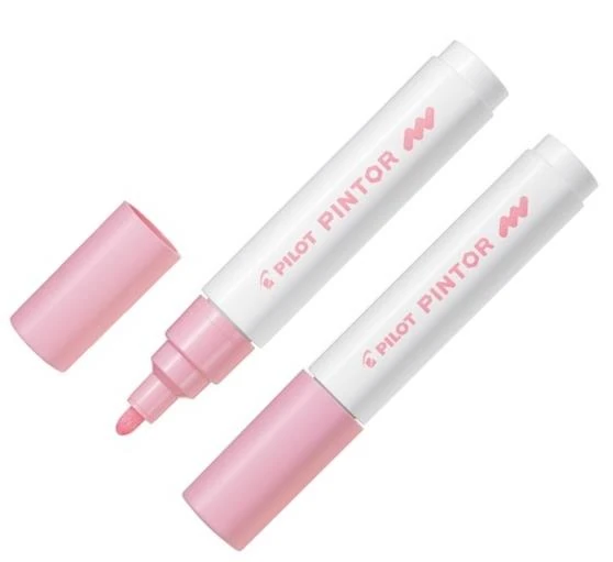 Pılot Dekorasyon Kalemi Pıntor M Pastel Turuncu Sw-Pt-M-Po