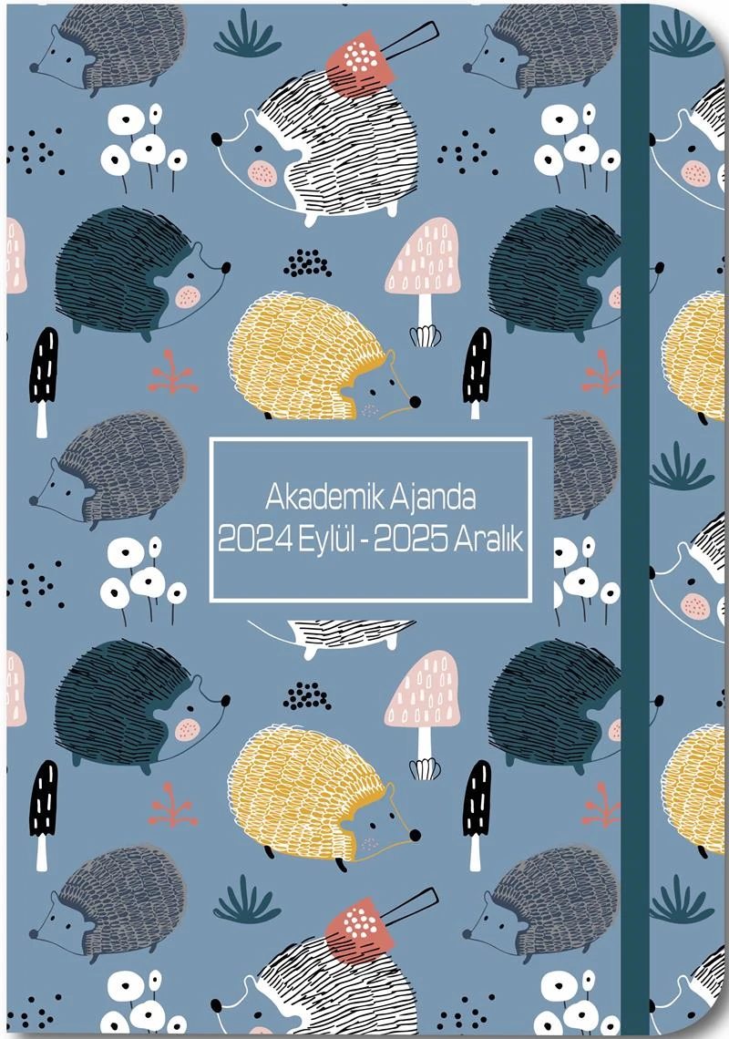 Liz Ajakd 17X24 Kuşe Kapak Akademik Ajandası