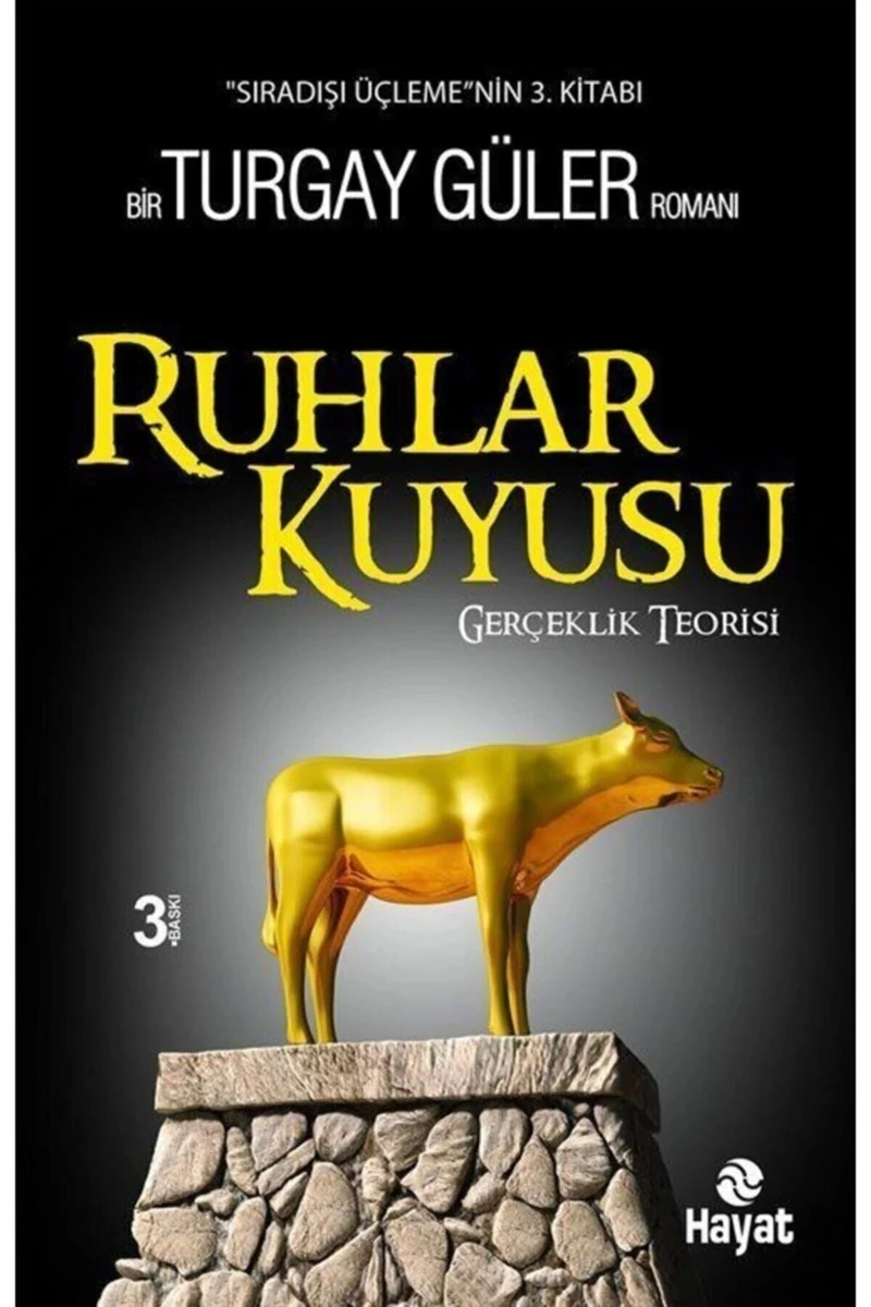 Ruhlar Kuyusu - Gerçeklik Teorisi