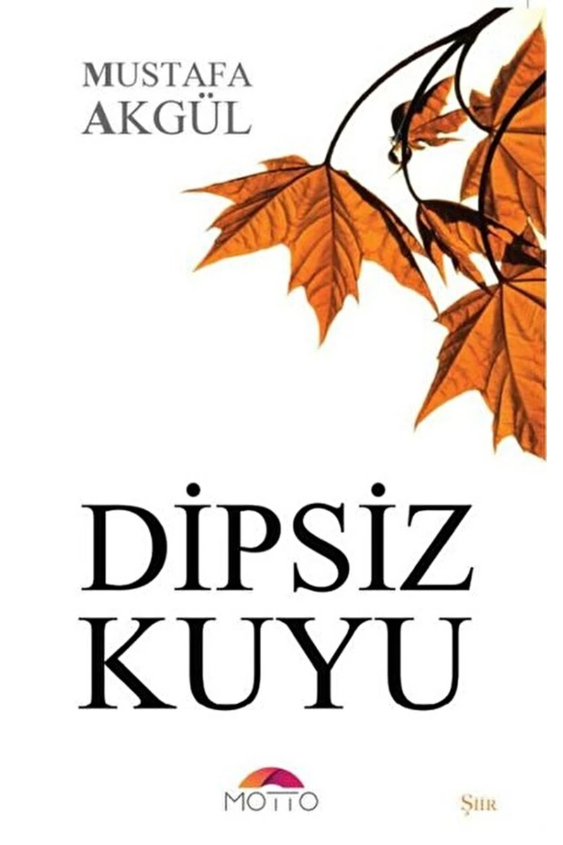 Dipsiz Kuyu - Mustafa Akgül