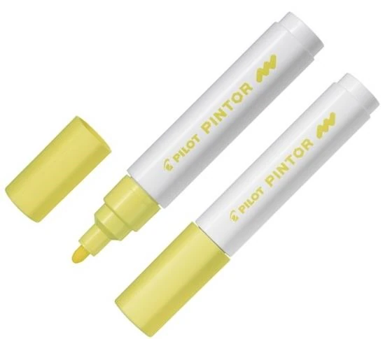 Pılot Dekorasyon Kalemi Pıntor M Pastel Turuncu Sw-Pt-M-Po