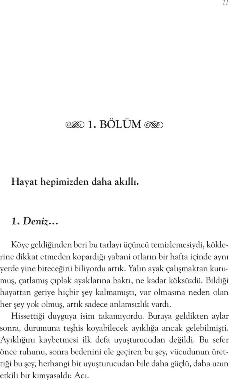 Çi - Akilah Azra Kohen