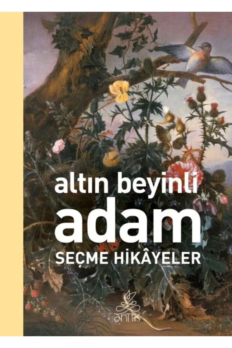 Altın Beyinli Adam