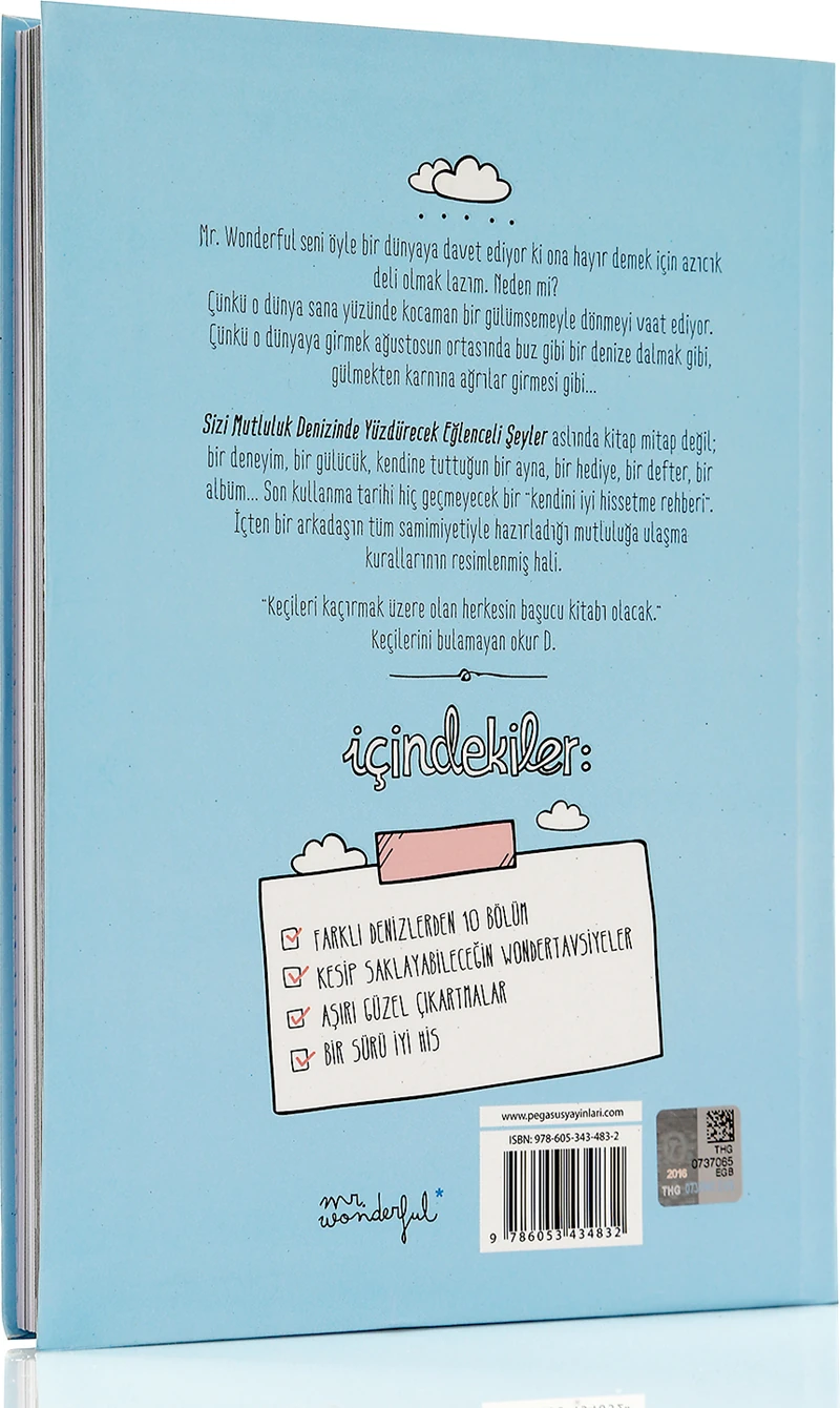 Sizi Mutluluk Denizinde Yüzdürecek Eğlenceli Şeyler - Mr. Wonderful